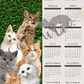 CatCurio Calendar 2024 (Cover Page + 12 Pages)