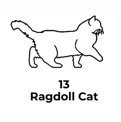 Black line drawing of a ragdoll cat with the number 13 below on a white background
