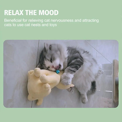 Cat playing with a toy on a tiled floor with text about relaxing the mood for cats.