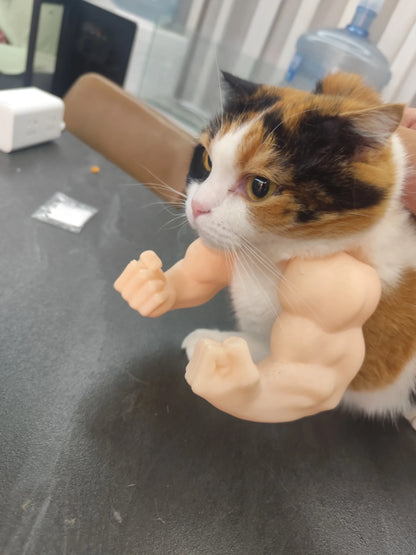 Hilarious Hulk Muscle Cat Arms