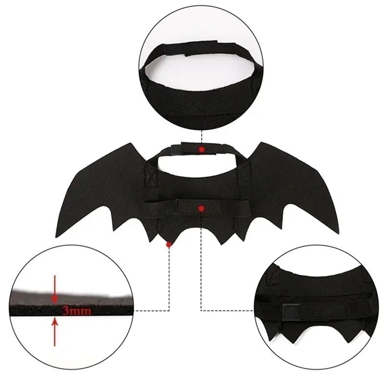 Cat Halloween Bat Wings Costume