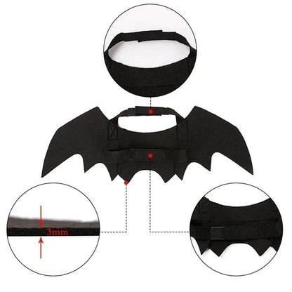 Cat Halloween Bat Wings Costume