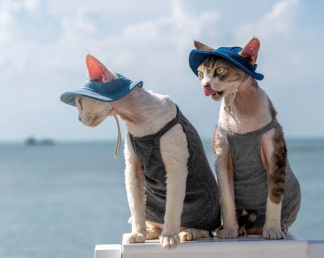 Cat-themed hat with adjustable fit for travel and sunblock