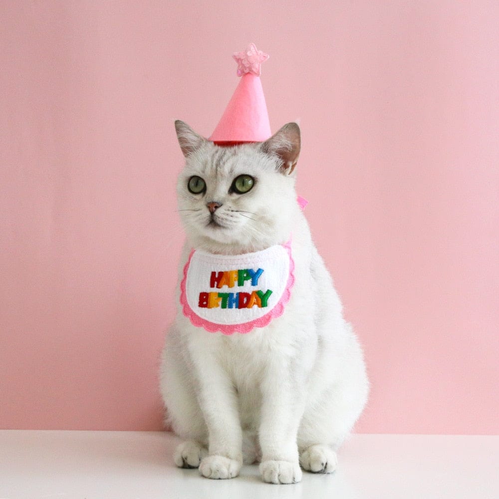 Cat celebration headgear and scarf for birthdays