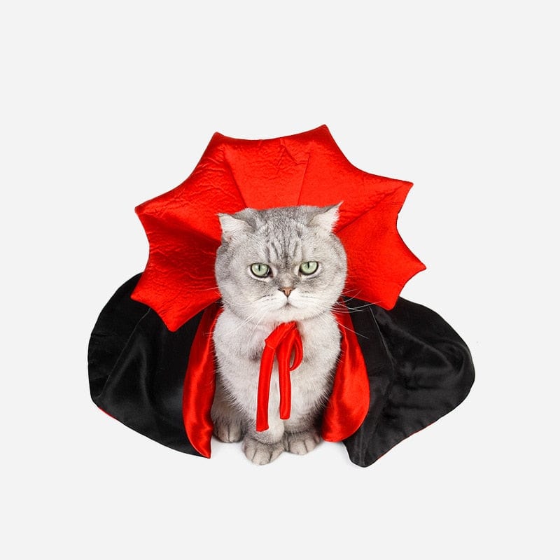 Halloween cat cape with vampire flair