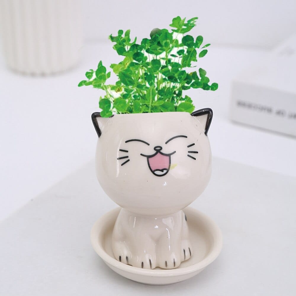 Charming planters with ceramic mini head motifs