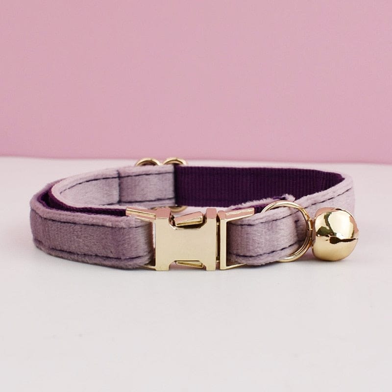 Engraved velvet cat collar with adorable bow