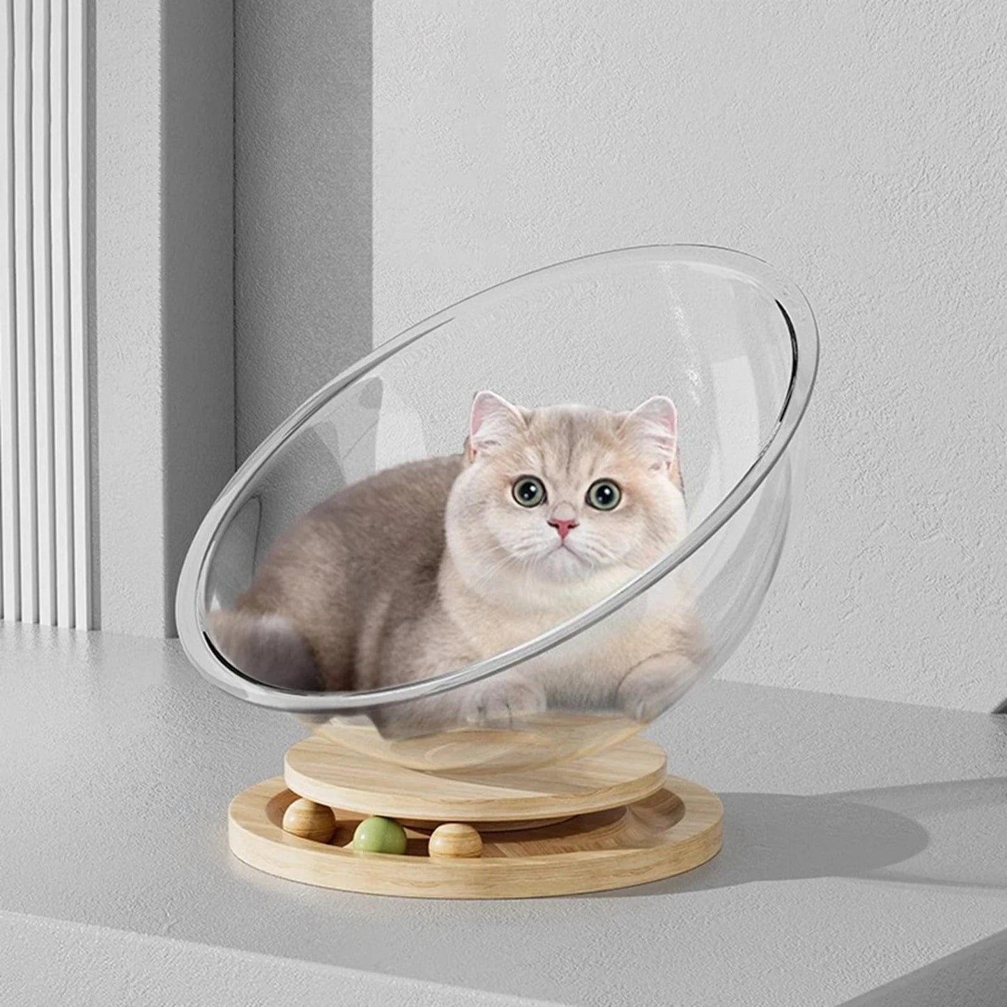 All-season Transparent Cat Capsule Bed