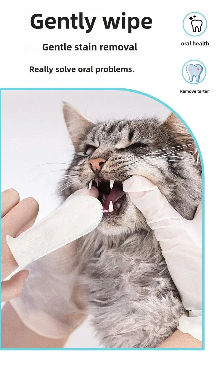 Cat Finger Teeth Dental Wipes