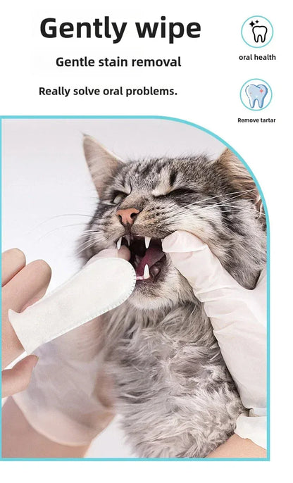Cat Finger Teeth Dental Wipes