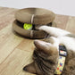 Magical Scratcher Foldable Cat Bed