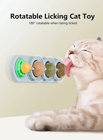 Four Catnip Ball Wall Toys
