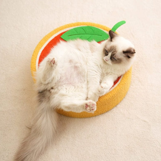 Cozy circular cat bed and scratch pad combo