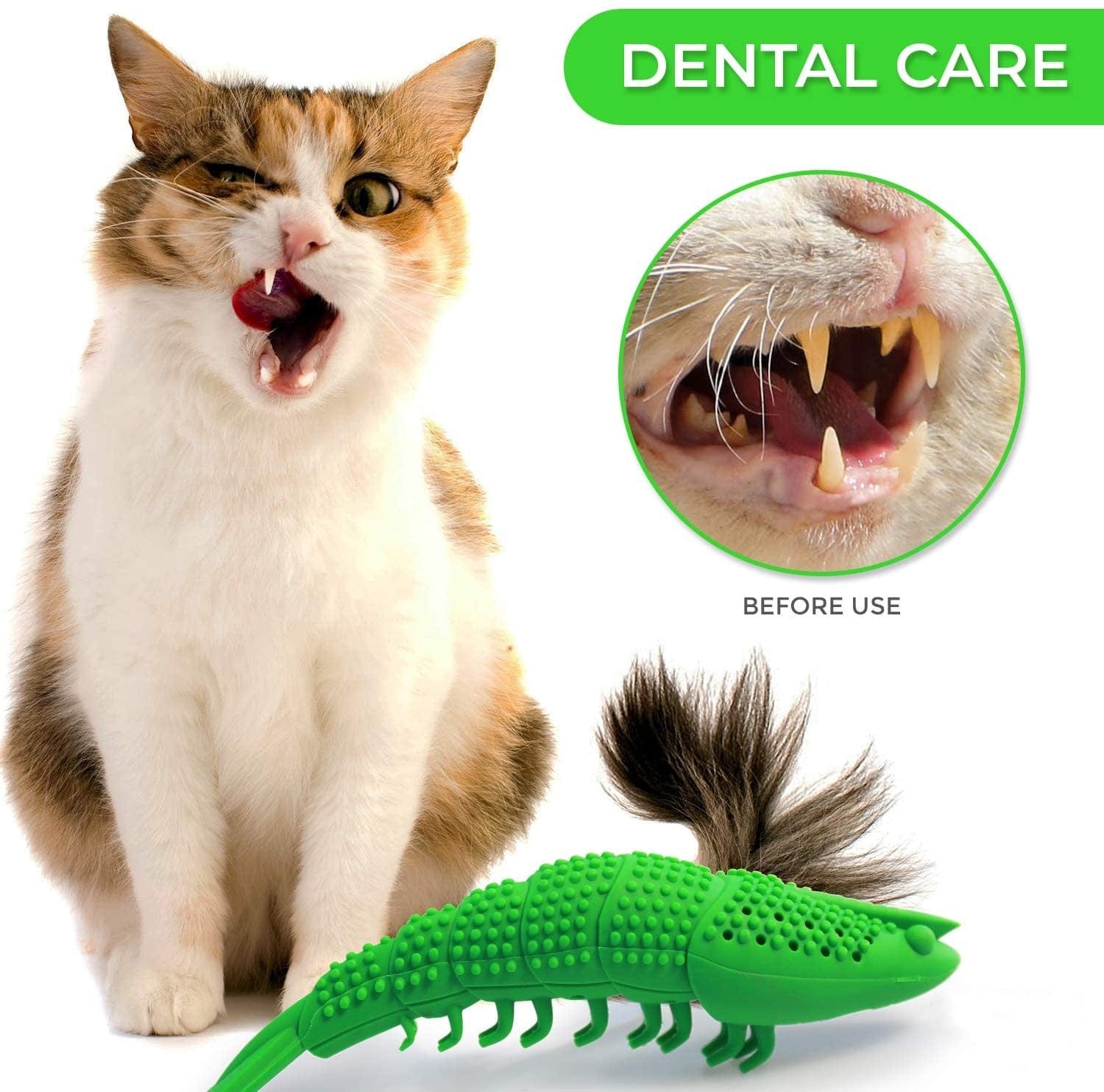 Dental hygiene toy: cat toothbrush chew interactive design