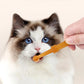 Flexi Cat Toothbrush Kit