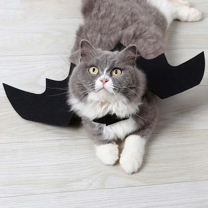 Cat Halloween Bat Wings Costume