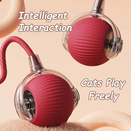 Cat Interactive Smart Rolling Ball