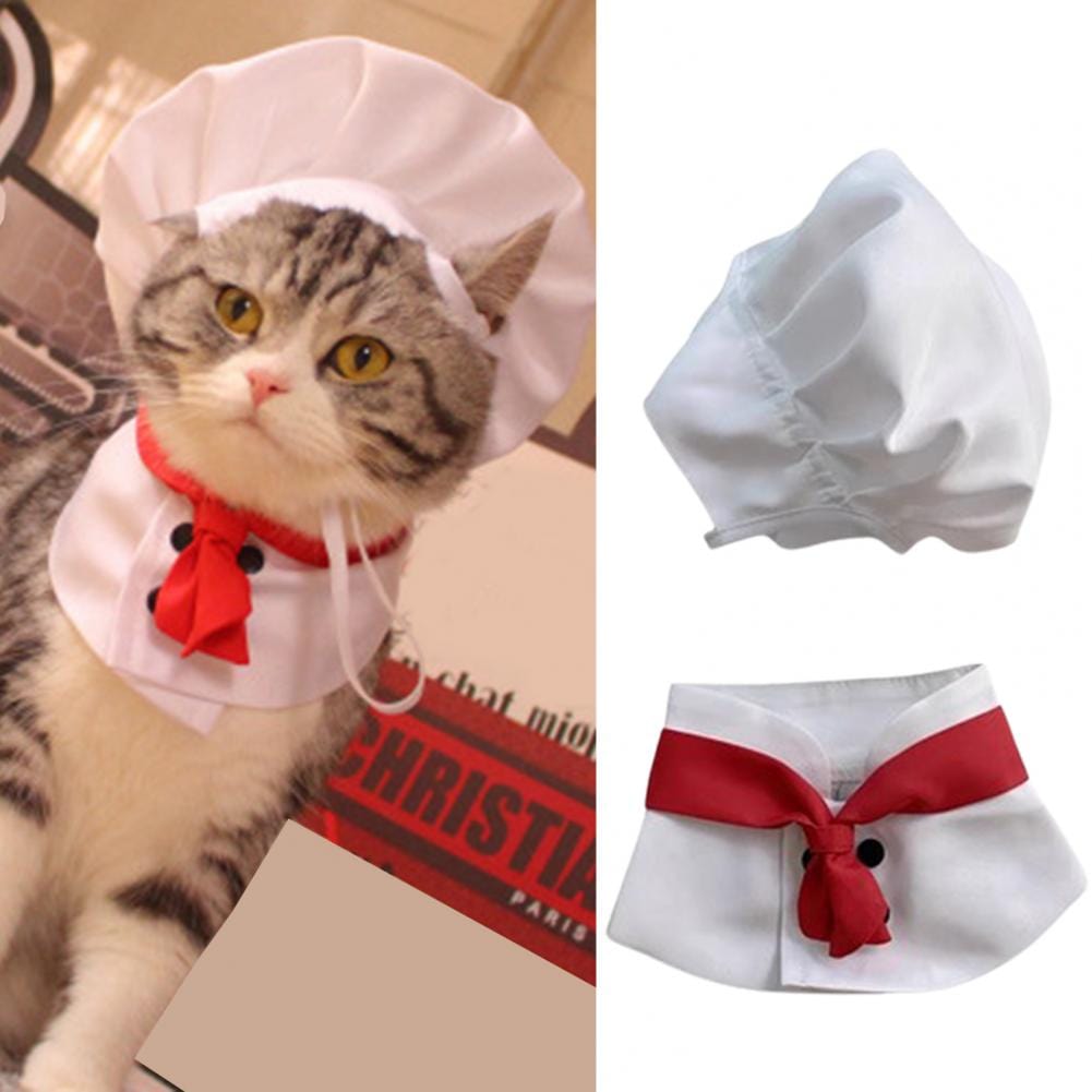 Charming cat in a chef's hat costume