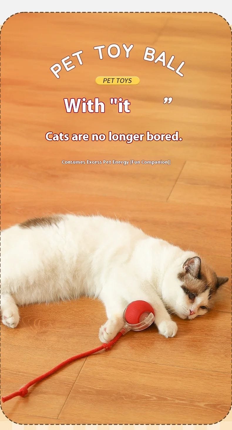 Cat Interactive Smart Rolling Ball