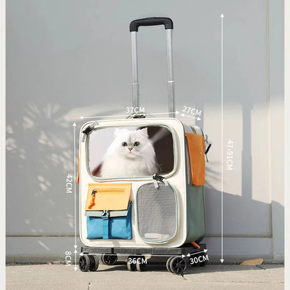 HOOPET Cats Travel Bag Portable Out Pet Trolley Suitcase Universal  Small Dogs Bag Cat Backpack Detachable Pet Supplies