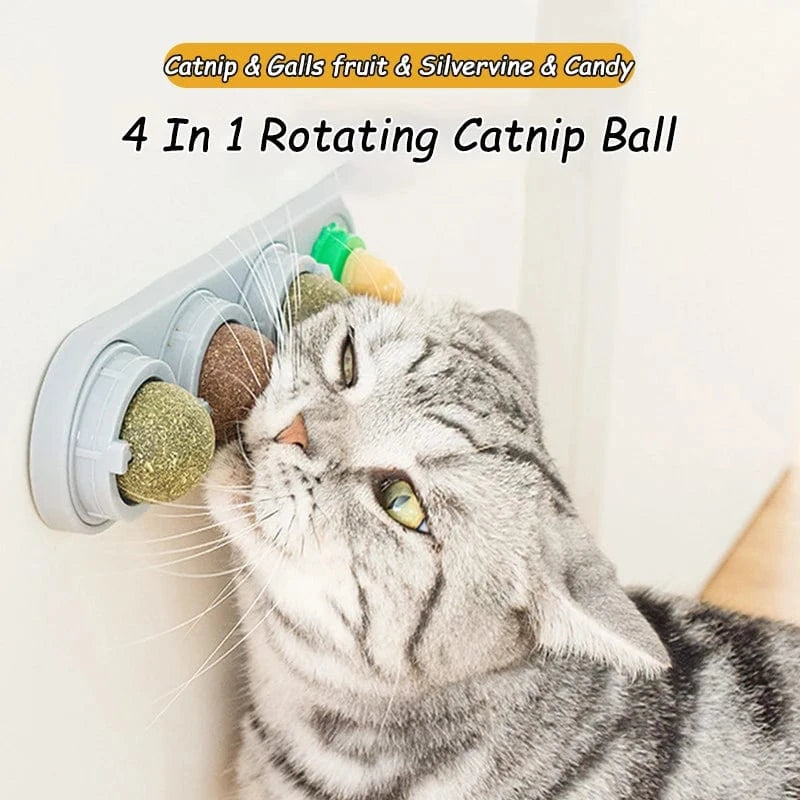 Four Catnip Ball Wall Toys