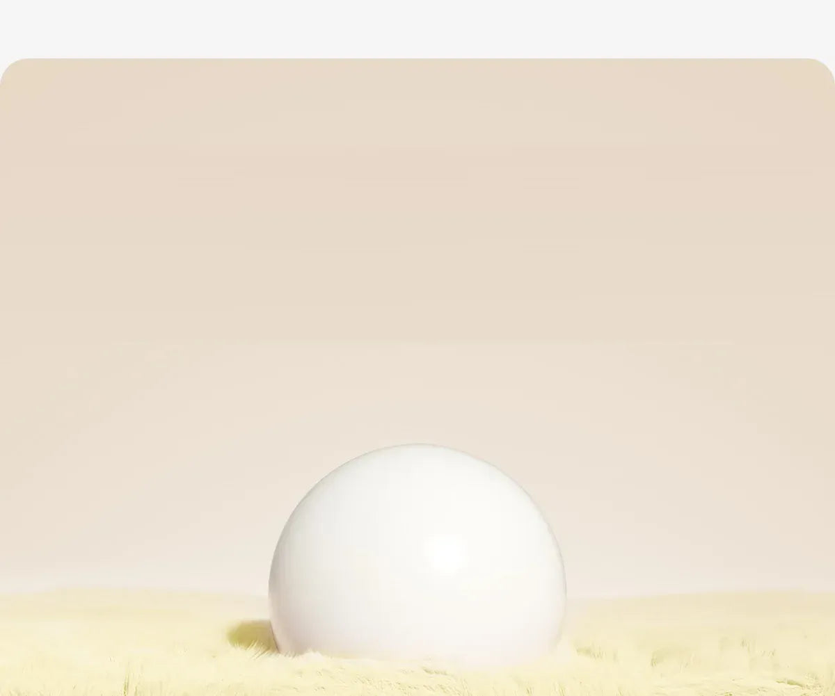 Waterproof Cat Slippers Paw Prints