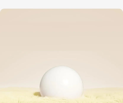 Waterproof Cat Slippers Paw Prints