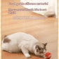 Cat Interactive Smart Rolling Ball