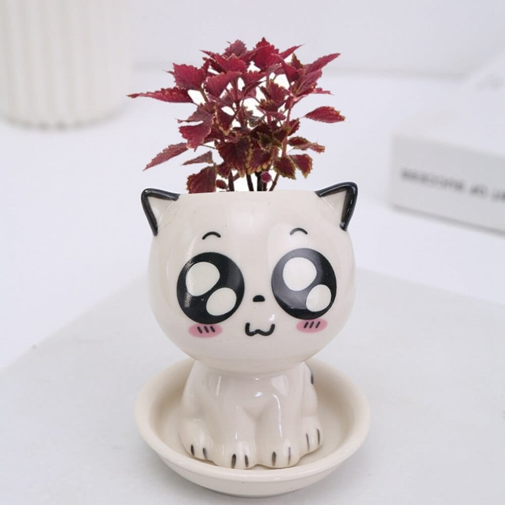 Mini ceramic pots designed as adorable heads