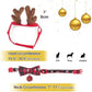 Cat Reindeer & Collar for Christmas