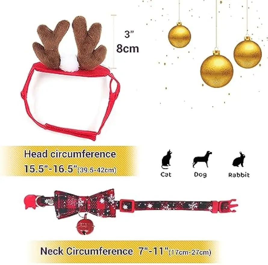 Cat Reindeer & Collar for Christmas