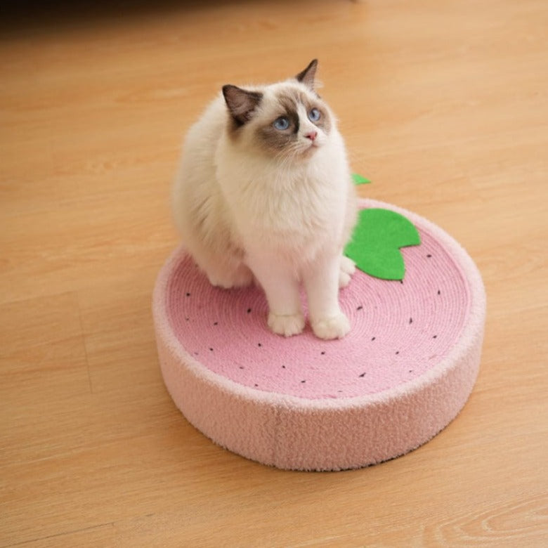 Soft round cat bed with integrated scratcher