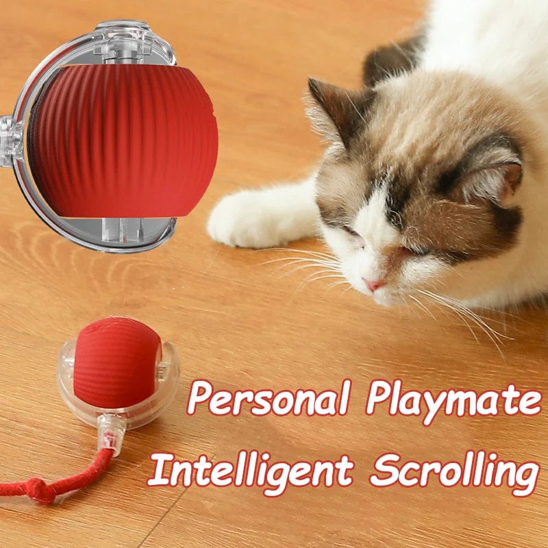 Cat Interactive Smart Rolling Ball