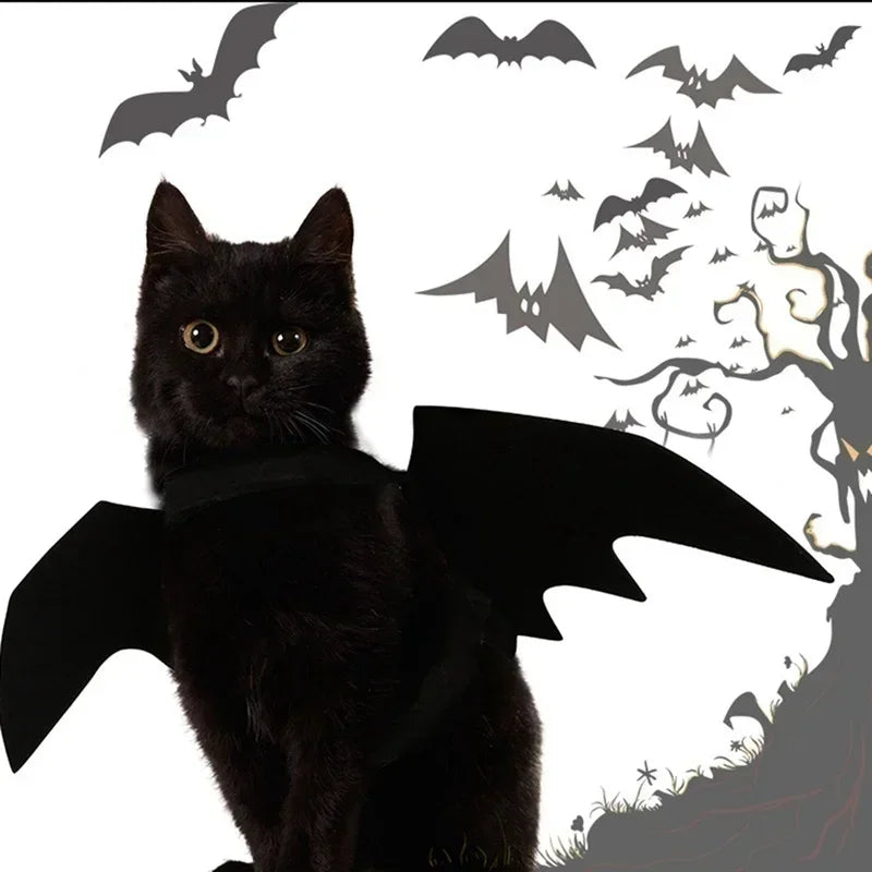 Cat Halloween Bat Wings Costume