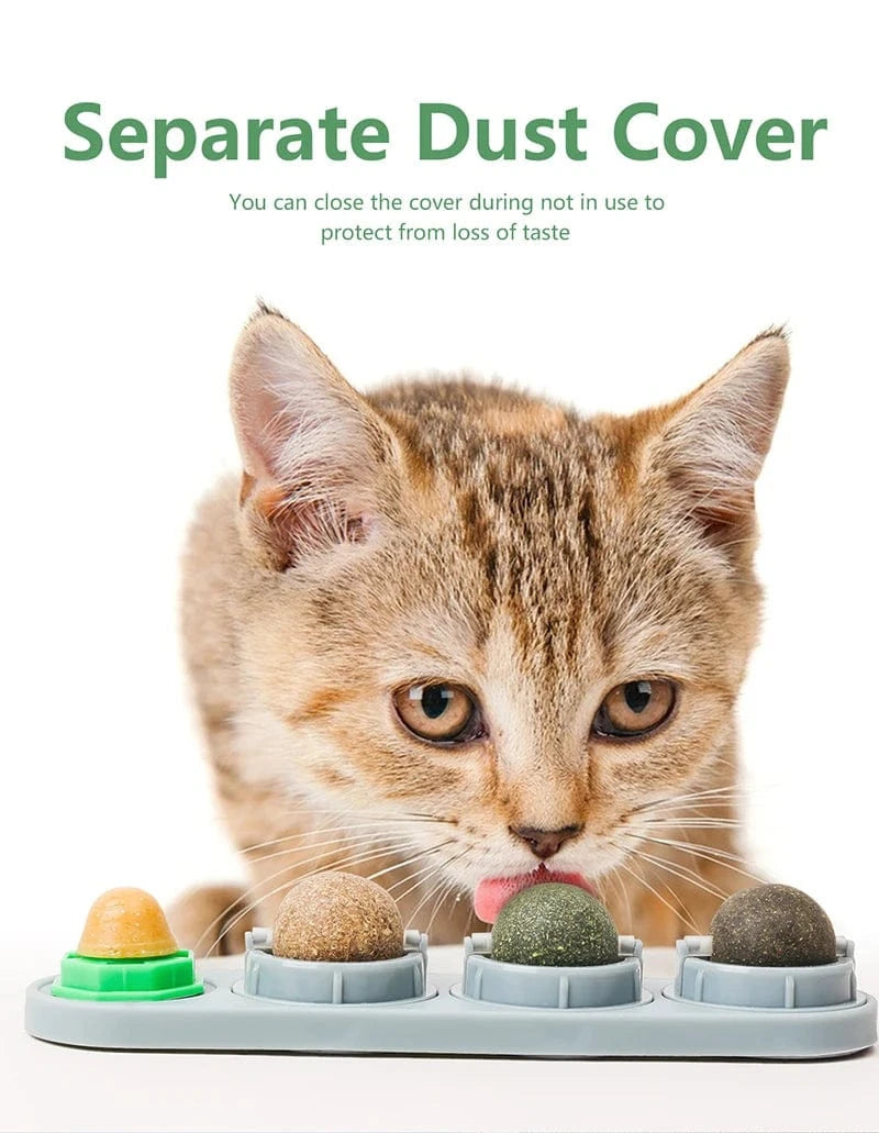 Four Catnip Ball Wall Toys