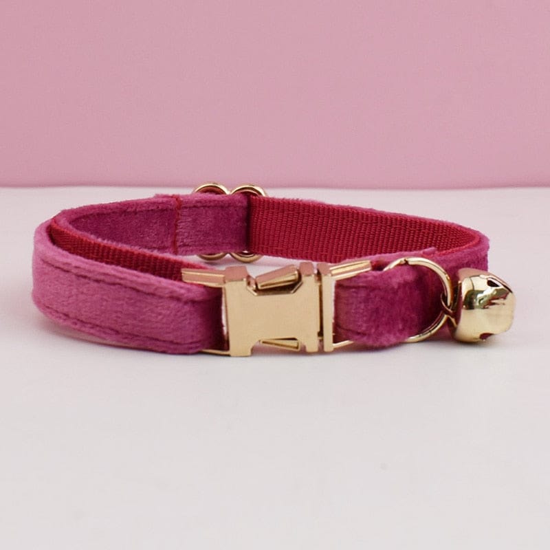 Personalized cat collar with velvet and bow