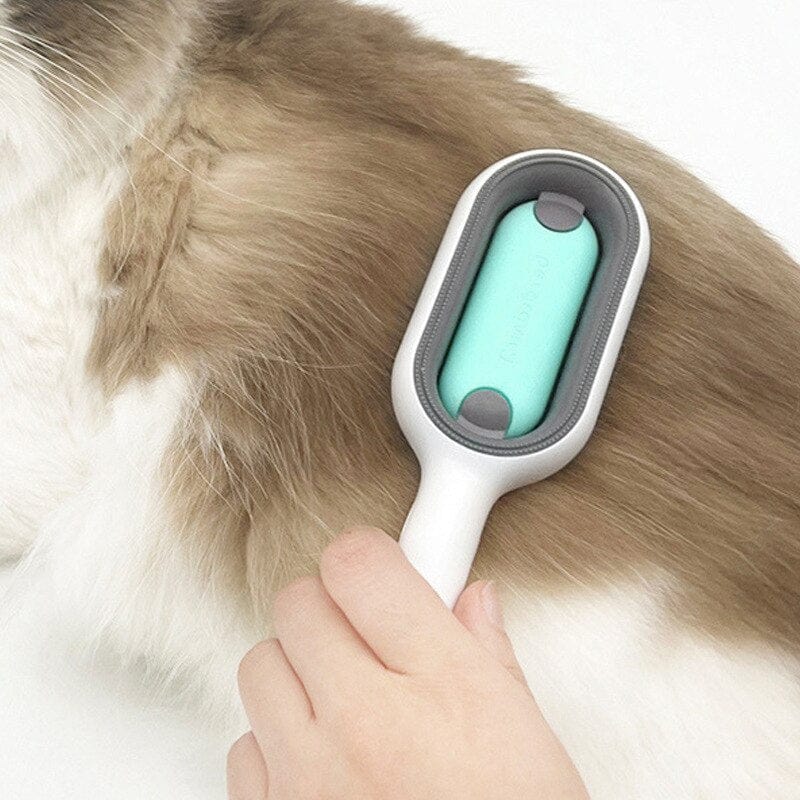 Modern cat bathing and grooming tool