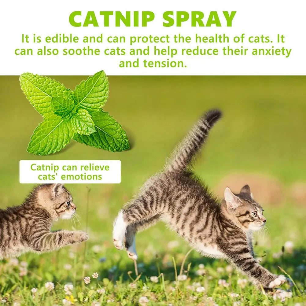 Herbal Cat Spray