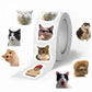 500pcs Funny Cats Meme Stickers