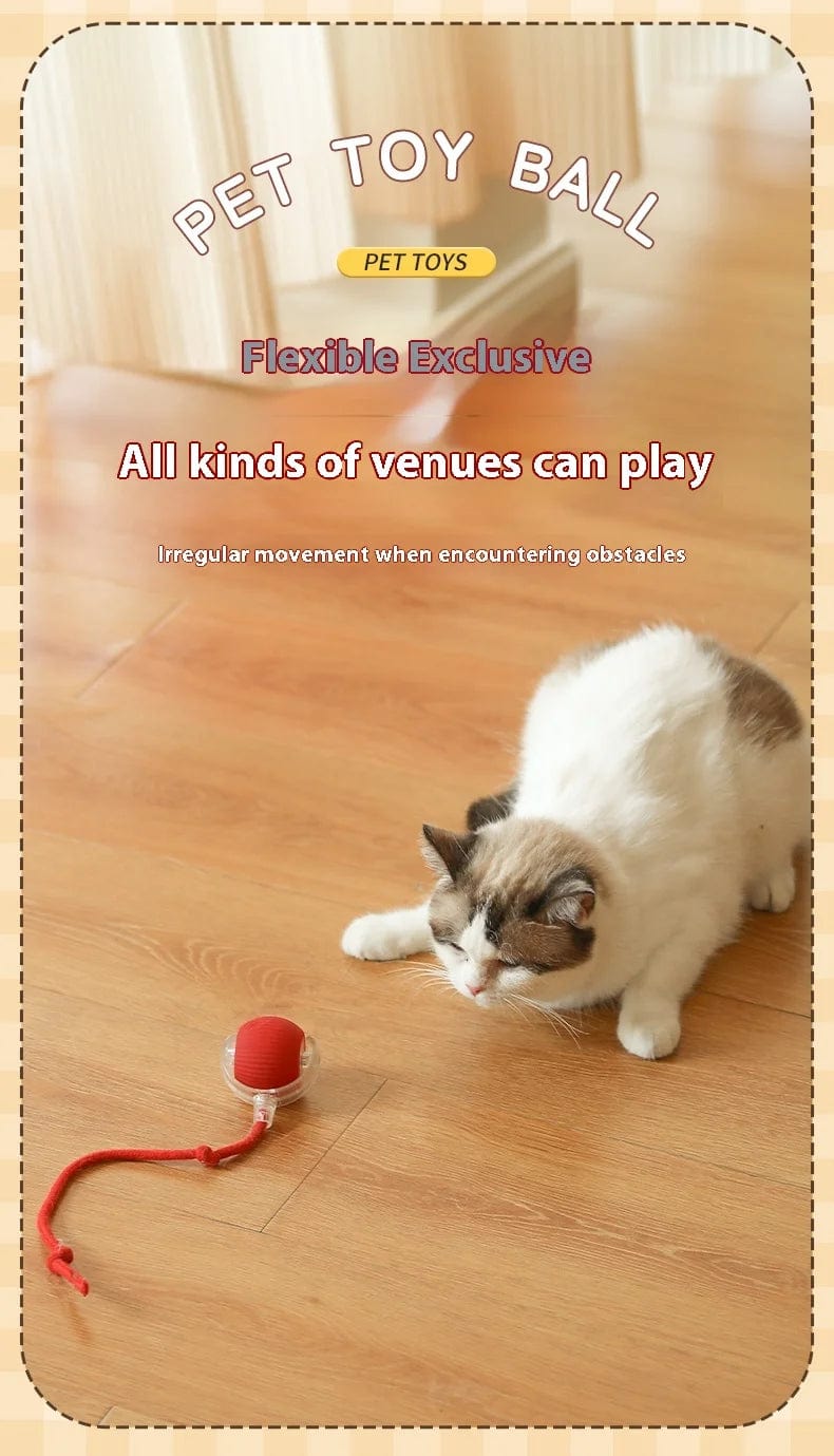 Cat Interactive Smart Rolling Ball