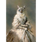 Royal Cat Funny Waterproof Posters