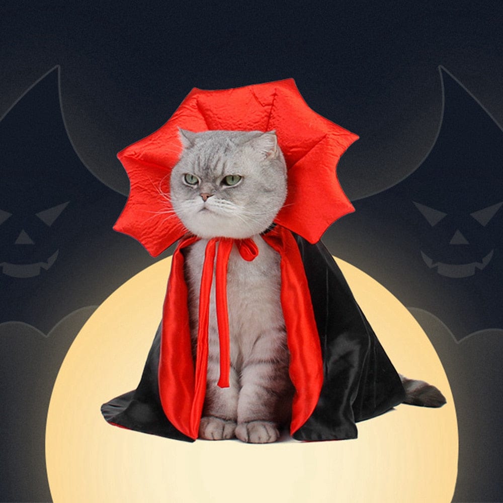 Dracula-inspired cat Halloween costume
