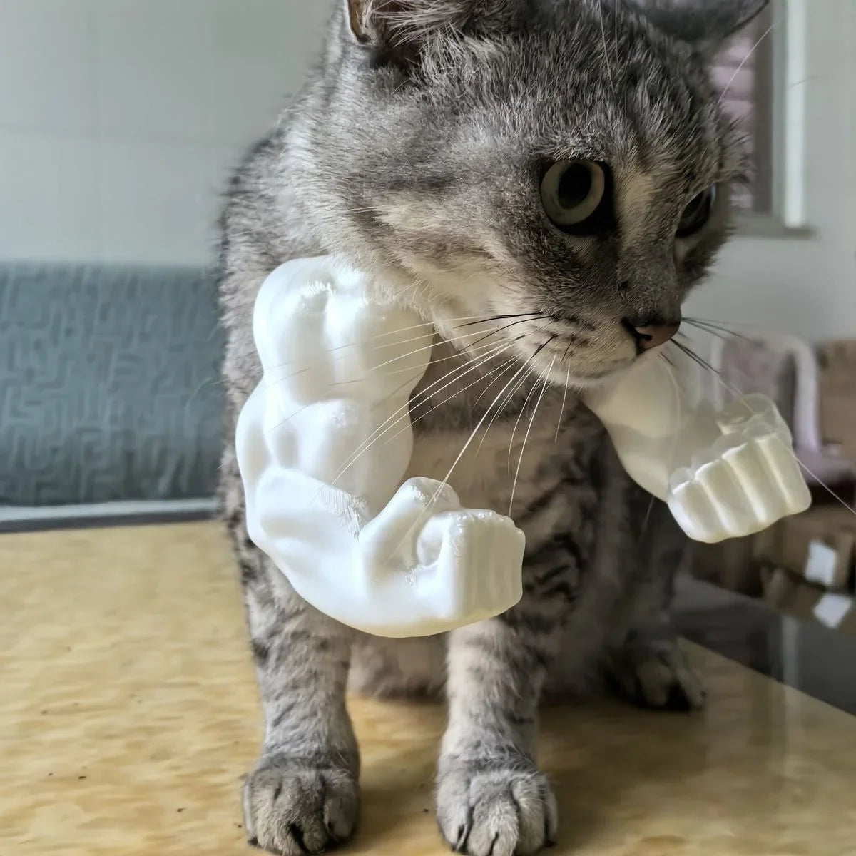 Hilarious Hulk Muscle Cat Arms