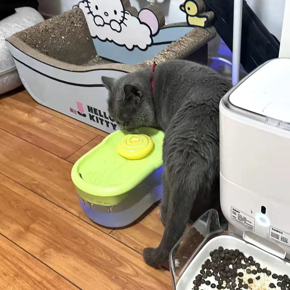 Electric Lollipop Cat Water Dispenser