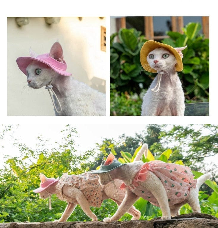 Adjustable cat hat with travel-ready sun protection