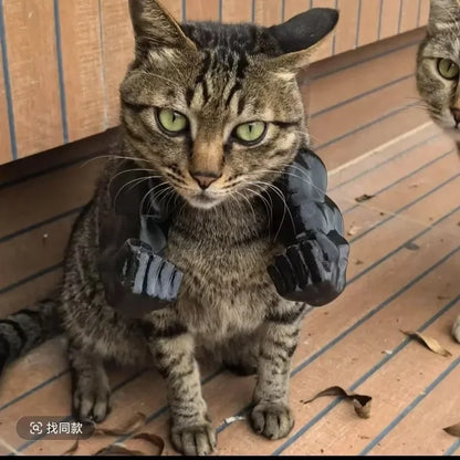 Hilarious Hulk Muscle Cat Arms