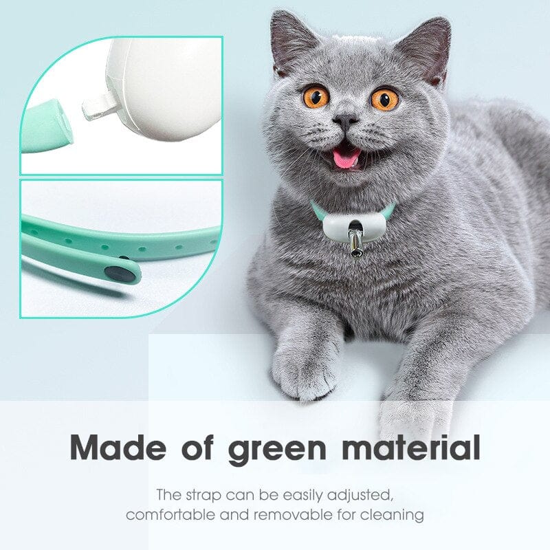 Safe laser collar teasing toy to keep cats entertained

