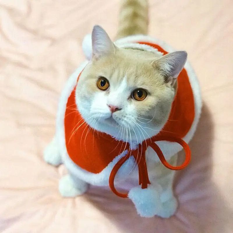 Santa Outfit Cape for Cats