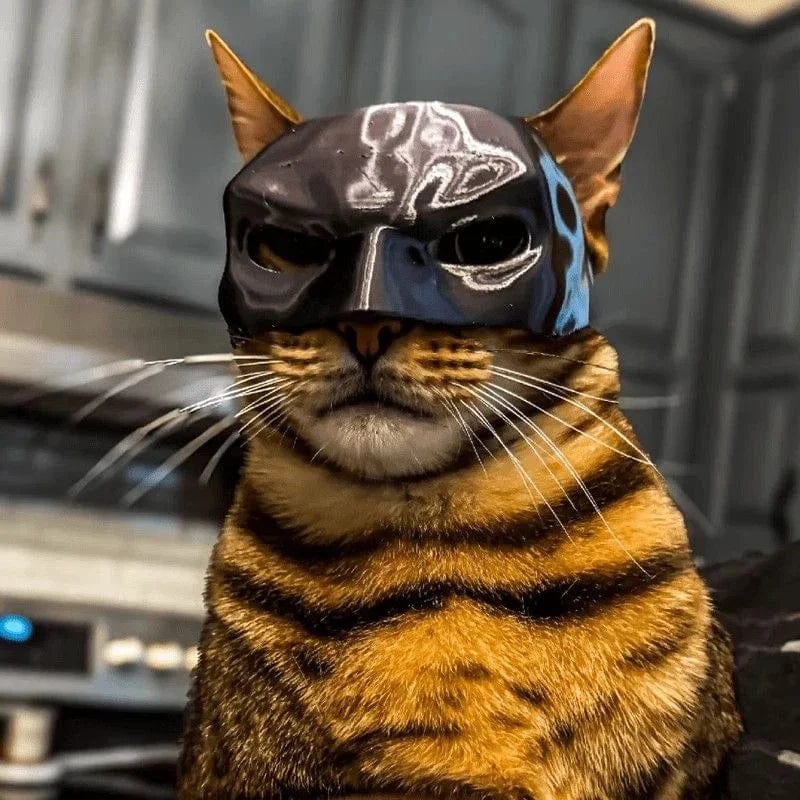 Black Cat Superhero Mask Props