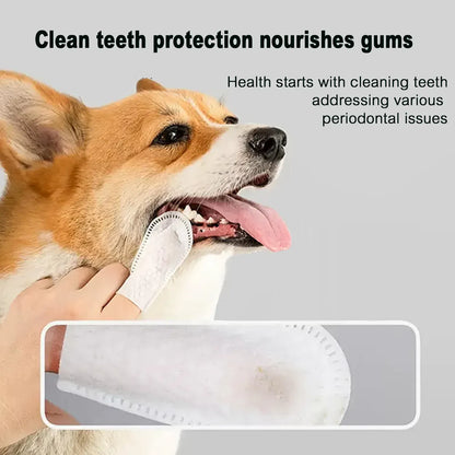 Cat Finger Teeth Dental Wipes